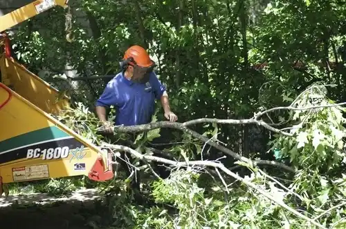 tree services Lake Linden